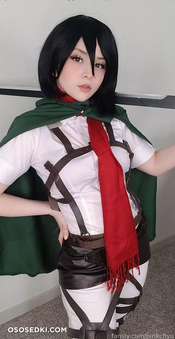Pinkchyu - Mikasa - 1