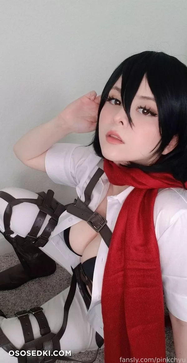 Pinkchyu - Mikasa - 15