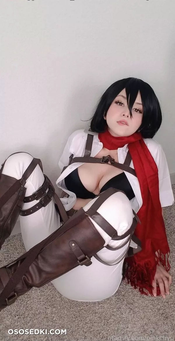 Pinkchyu - Mikasa - 16