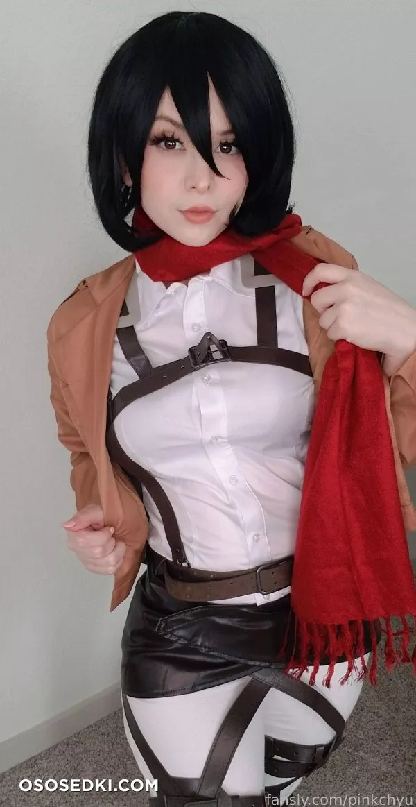 Pinkchyu - Mikasa - 5