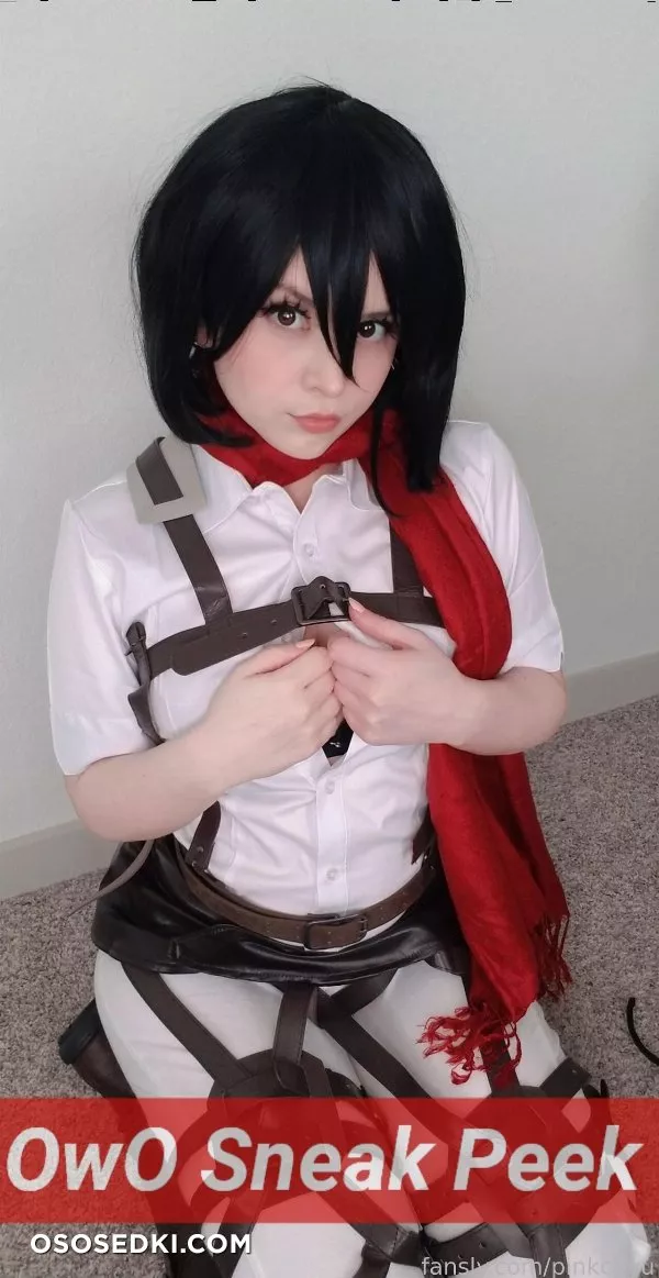 Pinkchyu - Mikasa - 9