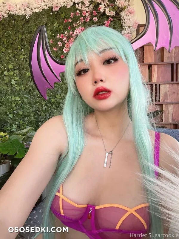 Harrietsugarcookie - Morrigan - 14
