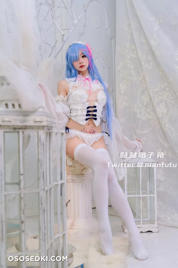 Sticky Dumpling Rabbit - Long-Haired Rem - 17