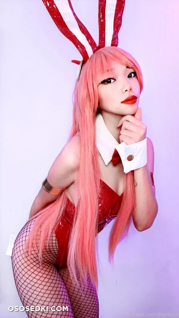 Meikoui - Zero Two - 17