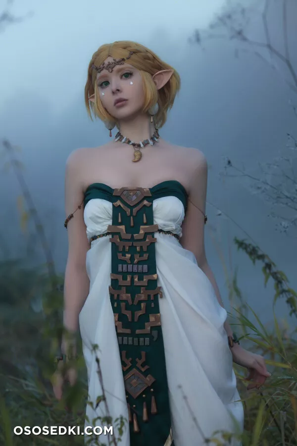 Vinnegal - Zelda - 1
