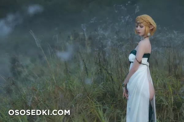 Vinnegal - Zelda - 45