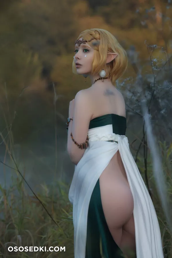 Vinnegal - Zelda - 47