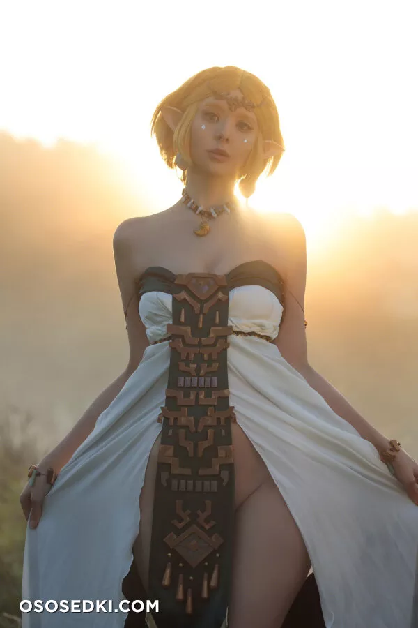 Vinnegal - Zelda - 49
