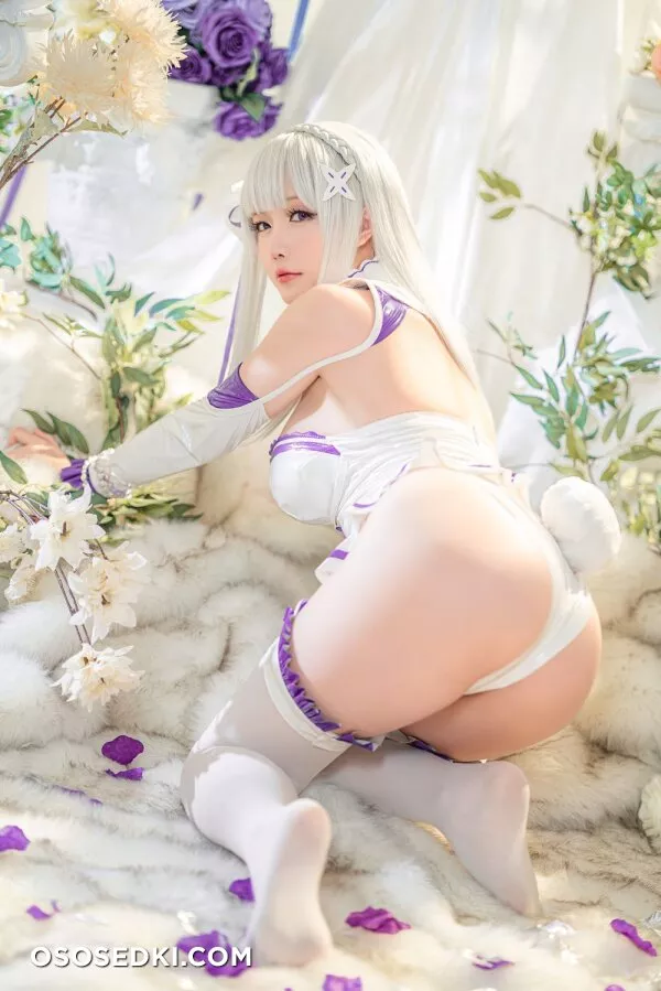 Hoshilily星之迟迟 - Emilia (Re:Zero) - 17