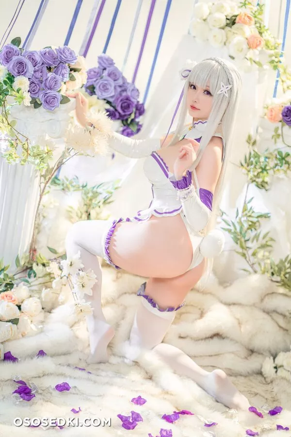 Hoshilily星之迟迟 - Emilia (Re:Zero) - 18