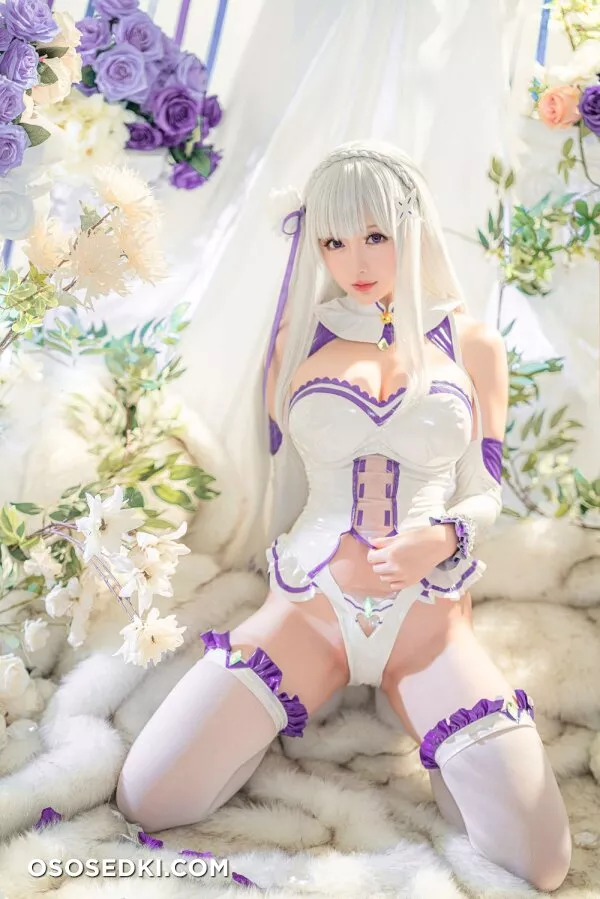 Hoshilily星之迟迟 - Emilia (Re:Zero) - 21