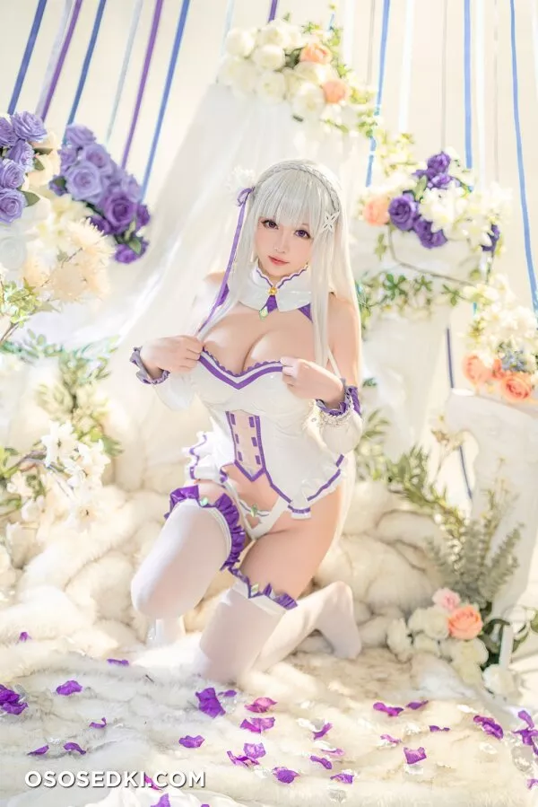 Hoshilily星之迟迟 - Emilia (Re:Zero) - 22