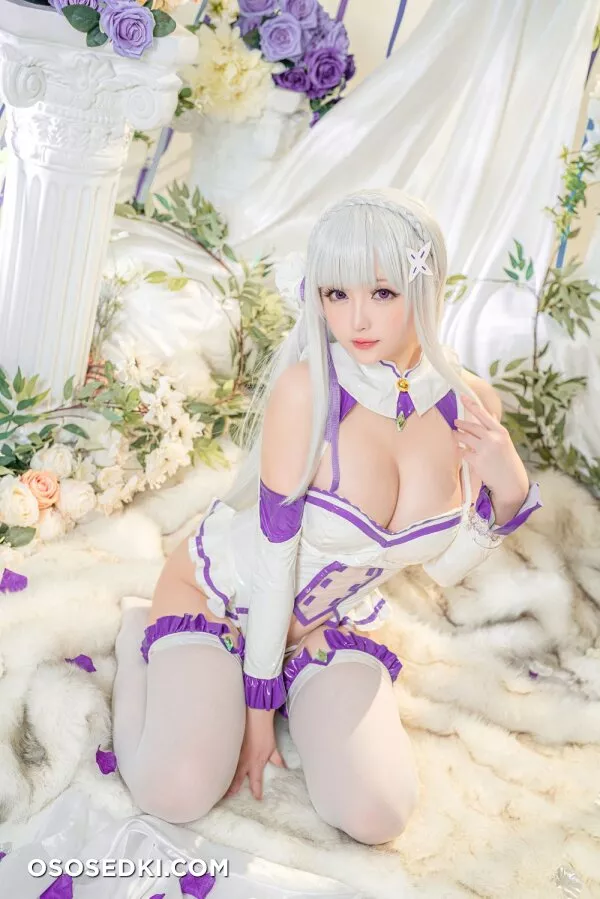 Hoshilily星之迟迟 - Emilia (Re:Zero) - 26