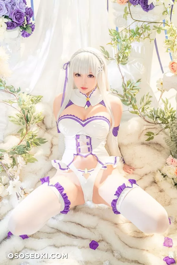 Hoshilily星之迟迟 - Emilia (Re:Zero) - 6