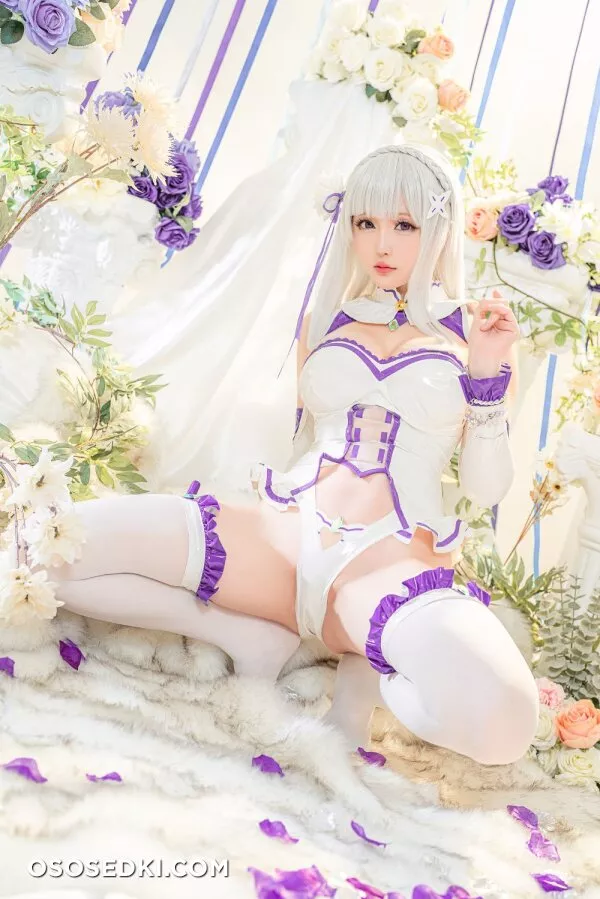 Hoshilily星之迟迟 - Emilia (Re:Zero) - 7