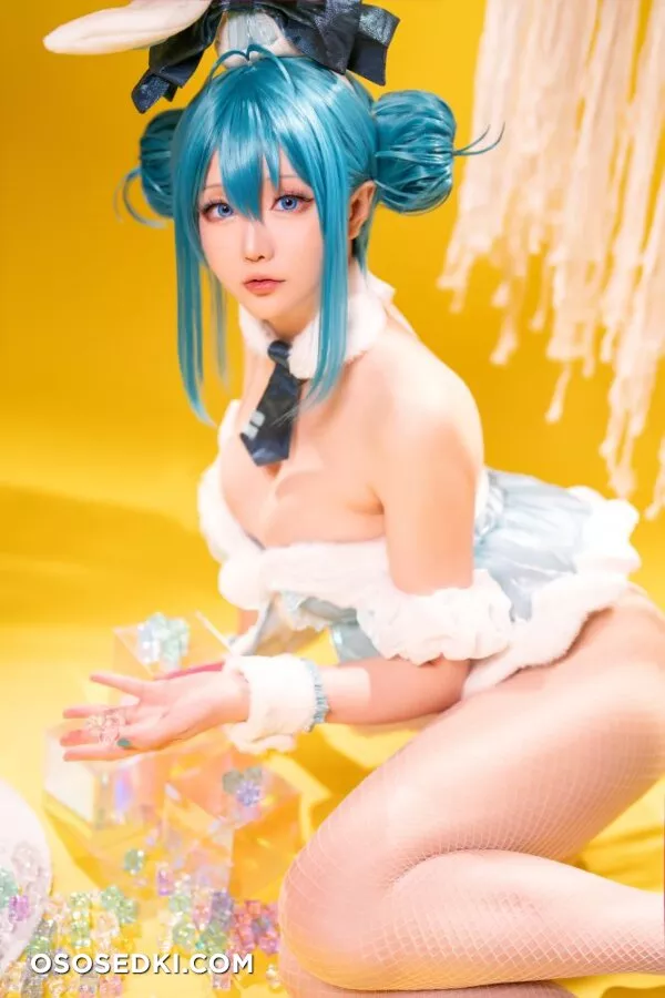 Hoshilily - Bunny Hatsune Miku (Vocaloid) - 26