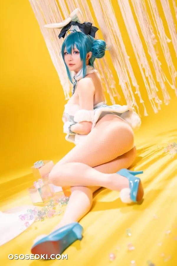 Hoshilily - Bunny Hatsune Miku (Vocaloid) - 28