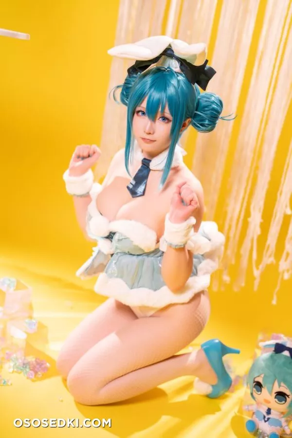 Hoshilily - Bunny Hatsune Miku (Vocaloid) - 36