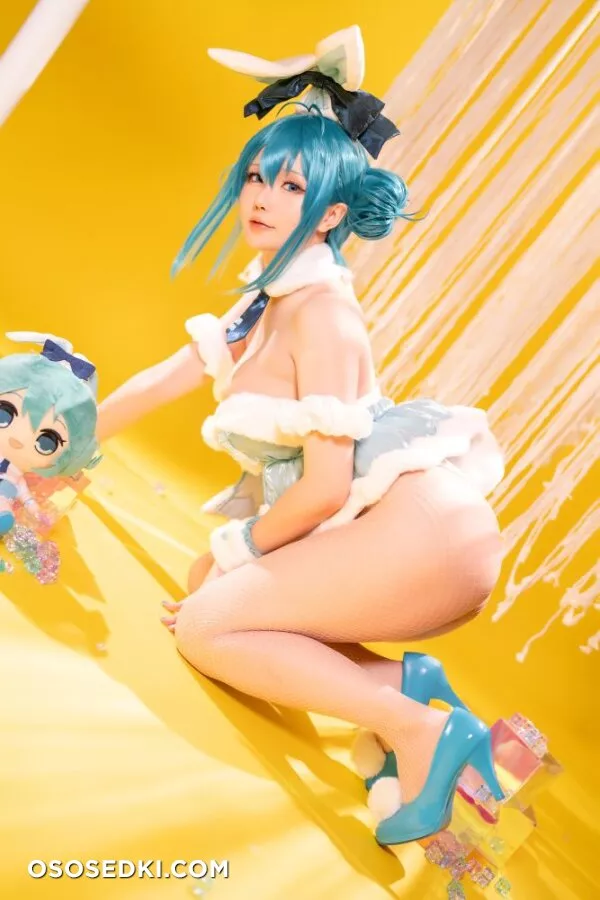 Hoshilily - Bunny Hatsune Miku (Vocaloid) - 39