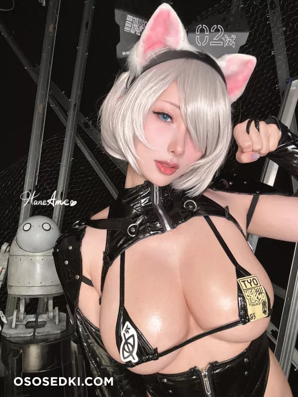 雨波 - NIER AUTOMATA 2B CyberPunk cat - 31