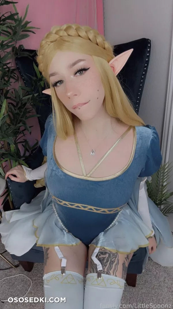 LittleSpoonz - Princess Zelda - 41