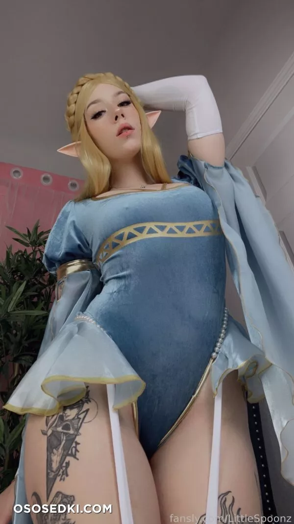 LittleSpoonz - Princess Zelda - 53