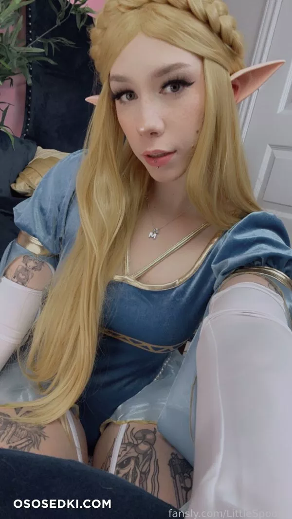 LittleSpoonz - Princess Zelda - 56
