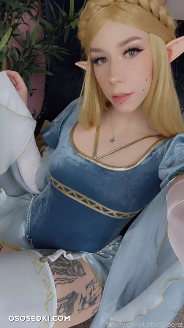 LittleSpoonz - Princess Zelda - 61