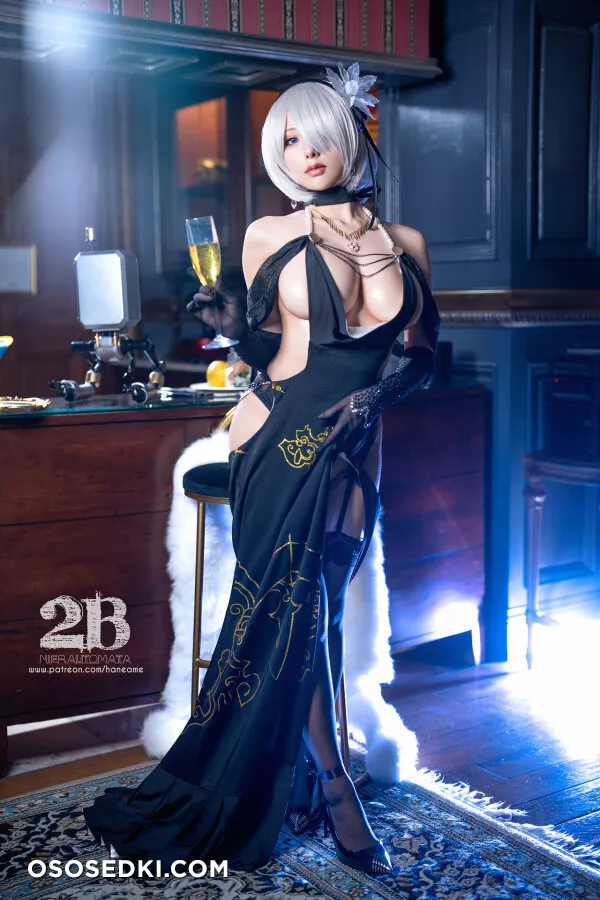 Hane Ame - 2B Gown - 29