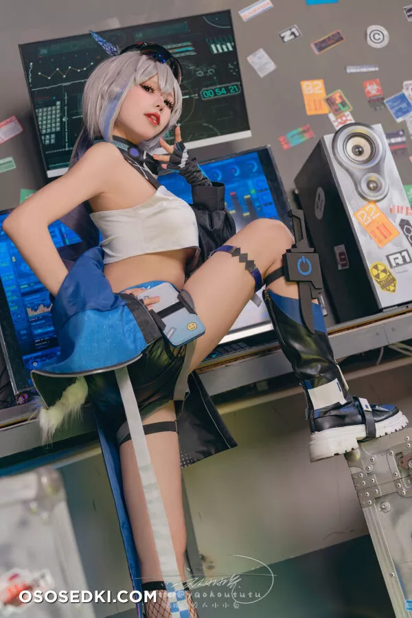Niantutu - Silver Wolf - 13