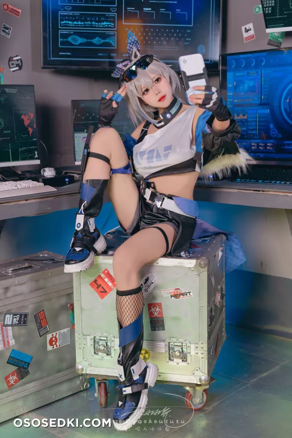 Niantutu - Silver Wolf - 27