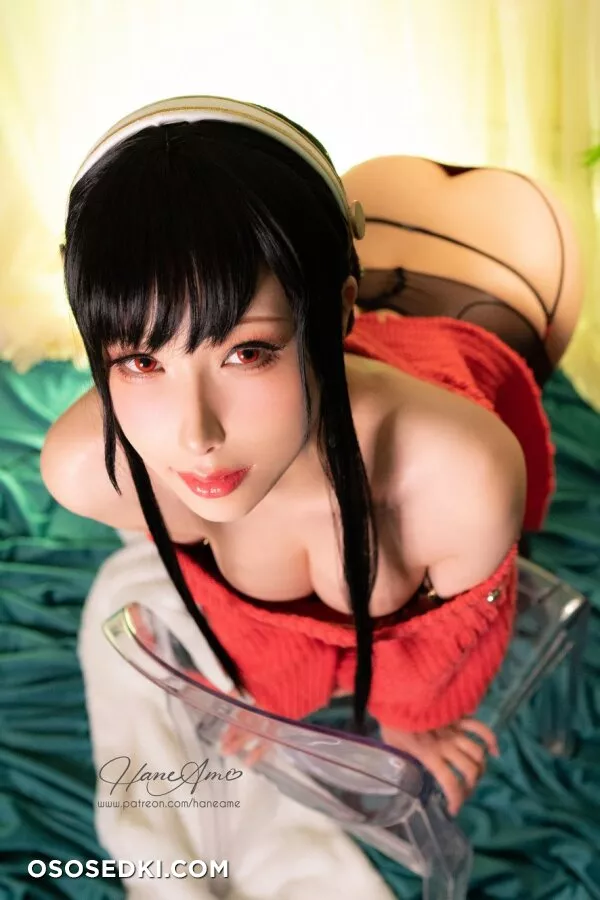 Hane Ame - Yor Forger (Spy x Family) - 6