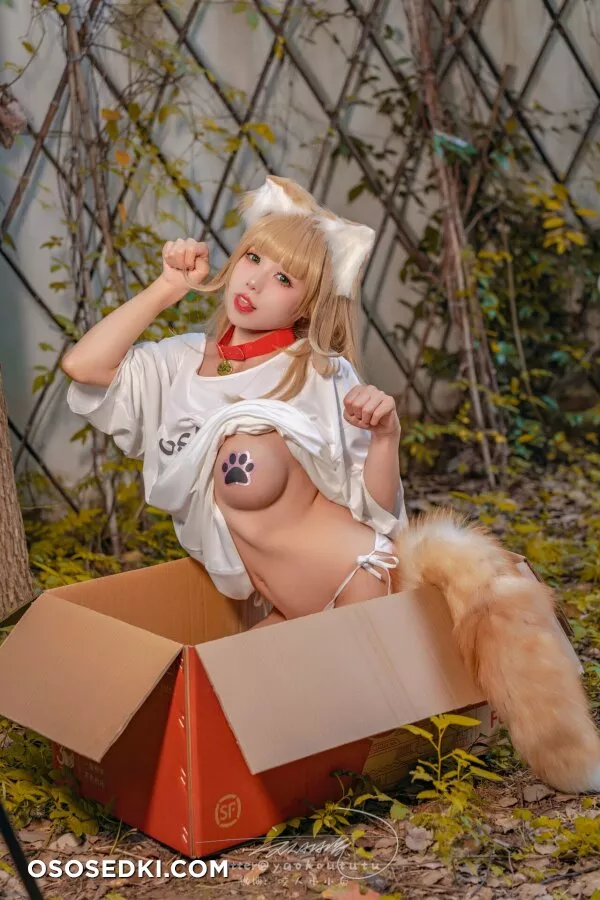 Yaokoututu | Niantutu - Kinako -  - 11