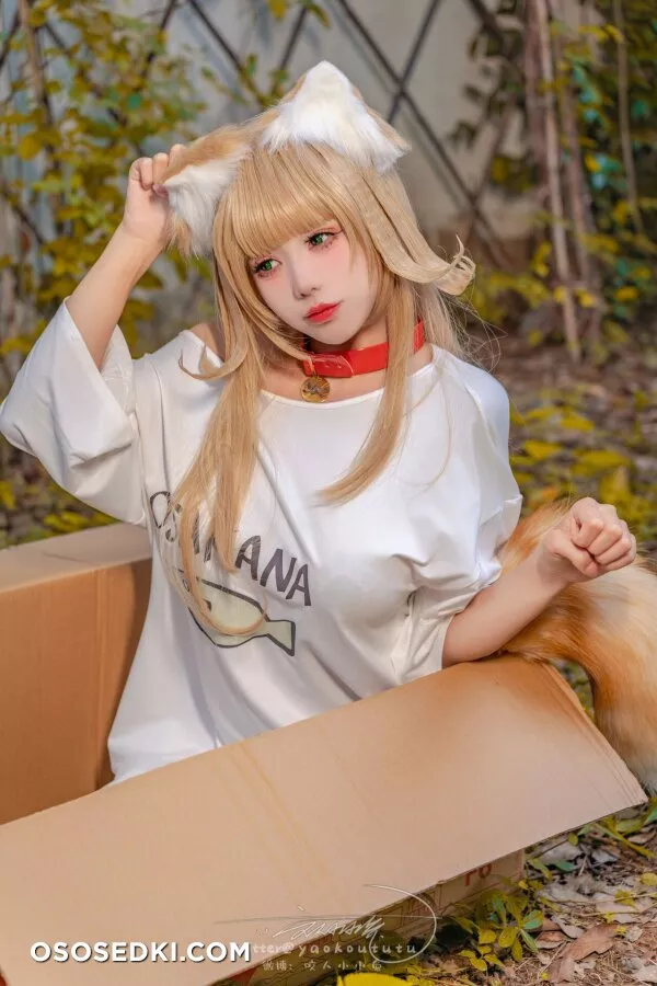 Yaokoututu | Niantutu - Kinako -  - 24