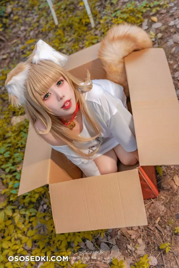 Yaokoututu | Niantutu - Kinako -  - 35