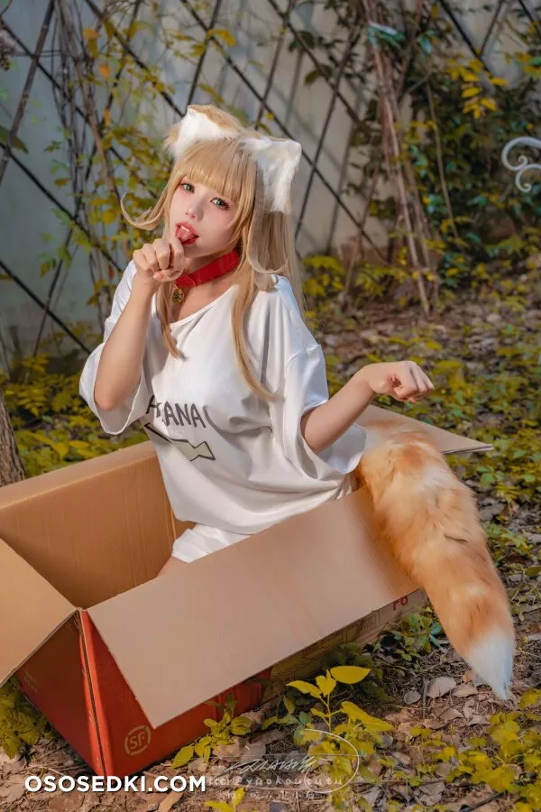 Yaokoututu | Niantutu - Kinako -  - 46