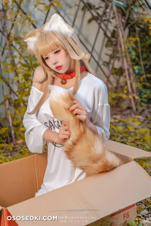 Yaokoututu | Niantutu - Kinako -  - 57