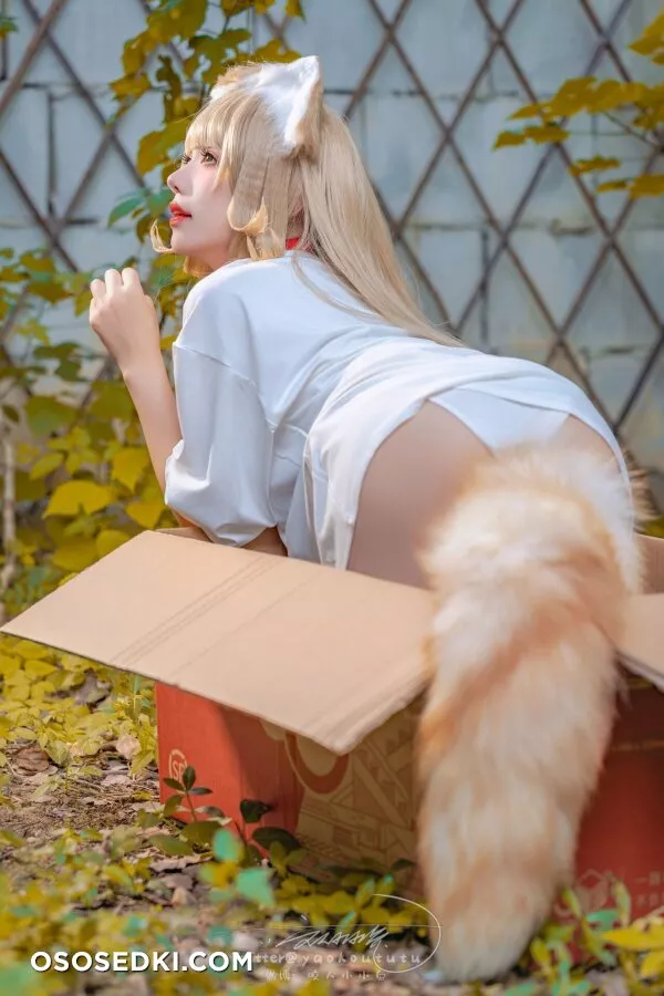 Yaokoututu | Niantutu - Kinako -  - 75