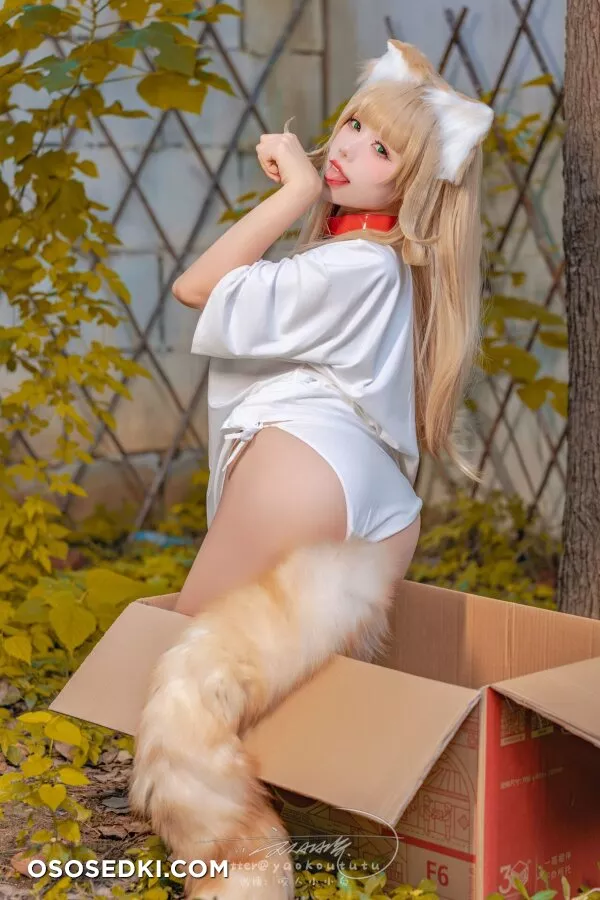 Yaokoututu | Niantutu - Kinako -  - 76