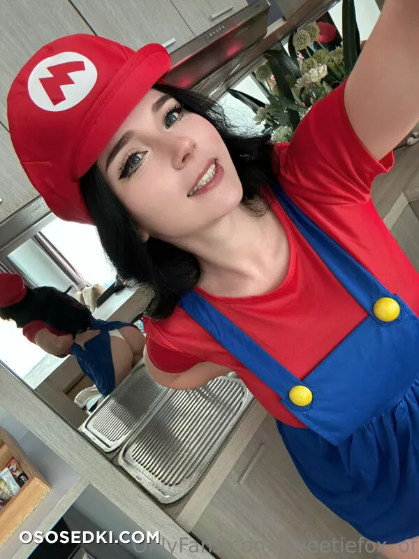 Sweetie Fox - Mario - Super Mario Brothers | Super Mario Bros. - 13