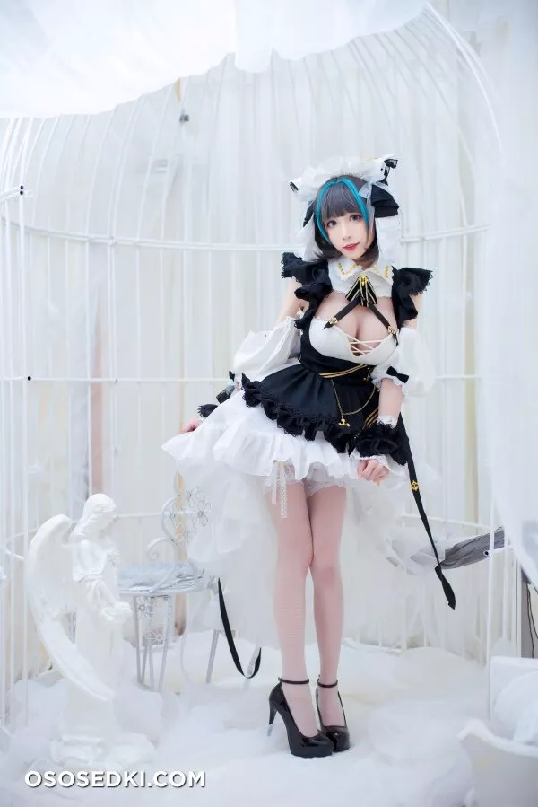 Tomoyo 酱 - Cheshire (Azur Lane) - 25