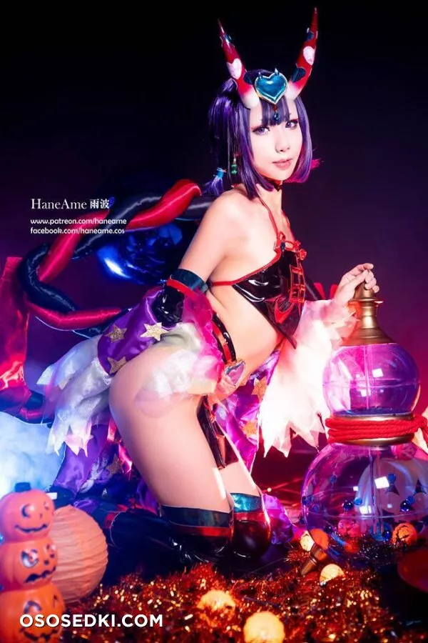 Hane Ame - Shuten Douji - Fate Grand Order - 25