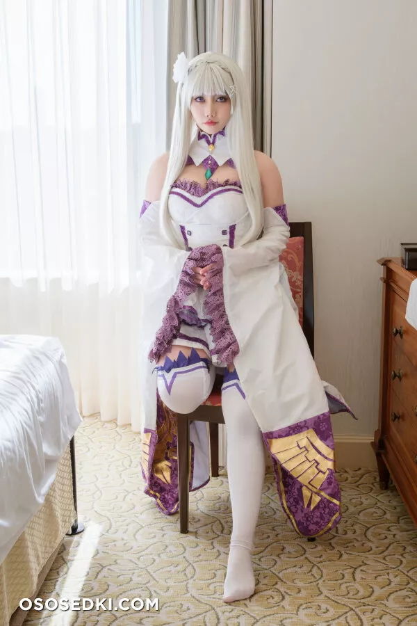  - Emilia - Re Zero Kara Hajimeru Isekai Seikatsu - 5