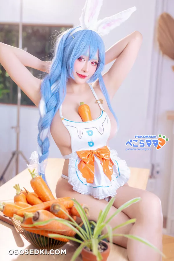Byoru - Pekoras Mother - Hololive - 10