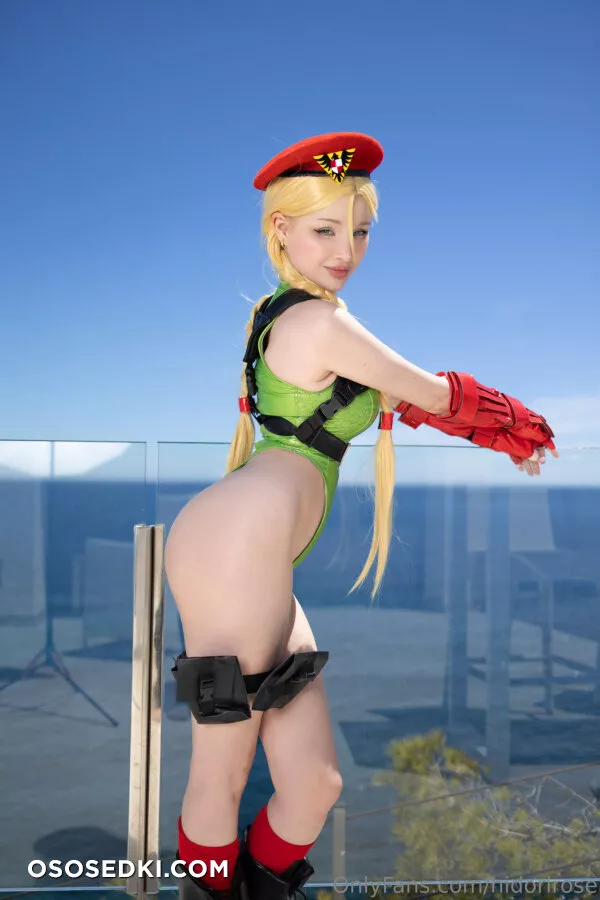 Hidori Rose - Cammy White - Street Fighter - 11