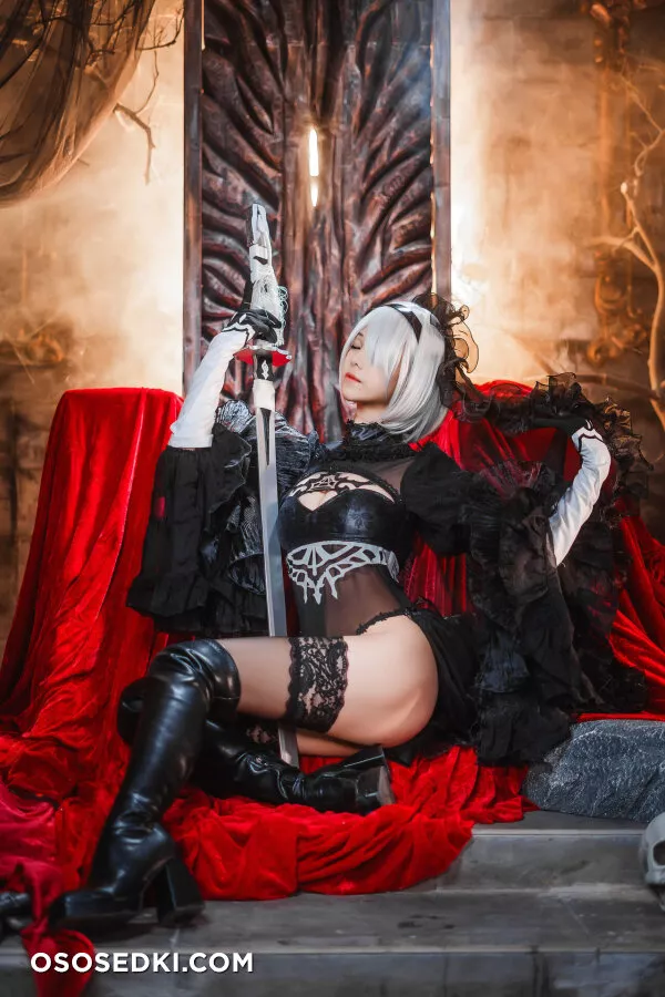 Mizhimaoqiu - 2b - Nier Automata - 12