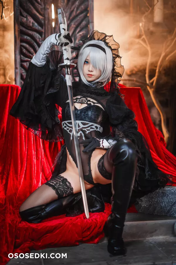 Mizhimaoqiu - 2b - Nier Automata - 14