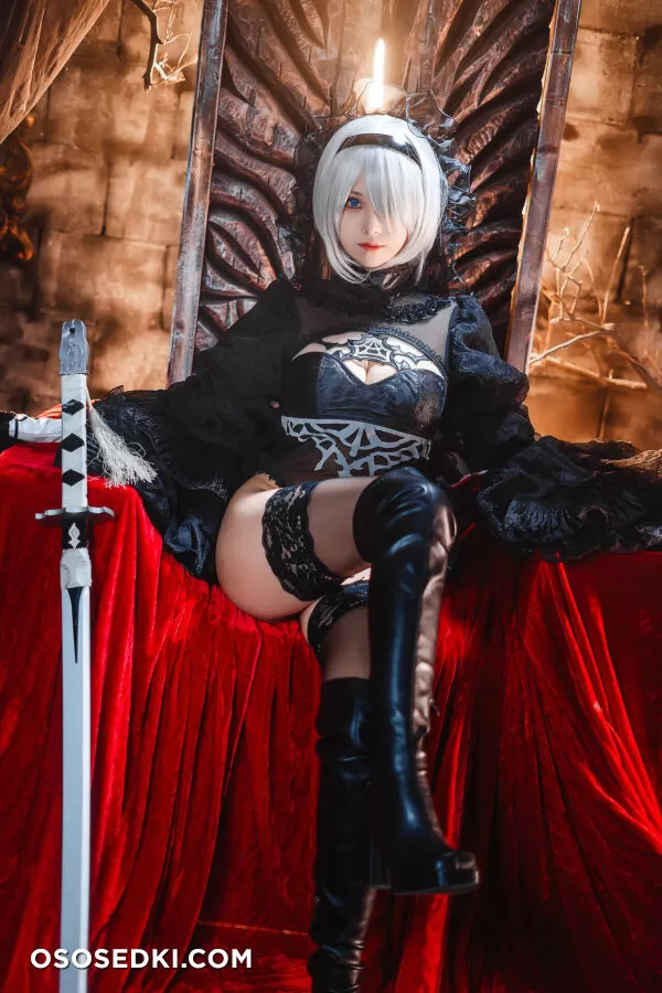 Mizhimaoqiu - 2b - Nier Automata - 15