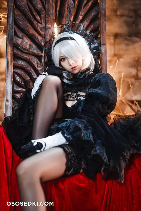 Mizhimaoqiu - 2b - Nier Automata - 21