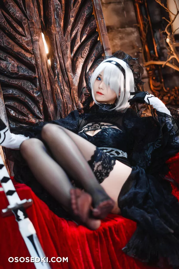 Mizhimaoqiu - 2b - Nier Automata - 22